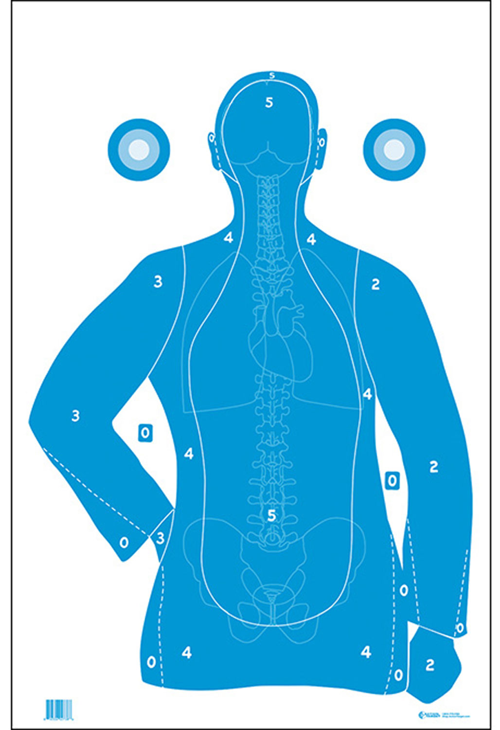 Action Target B-21E Qualification Target, Hanging, 23" x 35" Blue/White, 100/Box