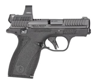S&W BODYGRD 2.0 14785 380 2.75 TS RFX1 10/12R