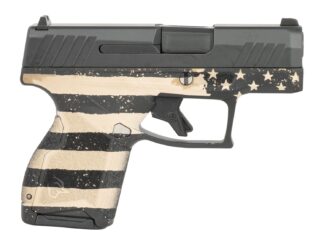 Taurus GX4 9mm Micro-Compact 11+1 Semi-Auto 3.06 in Serrated Slide Stainless Steel Frame