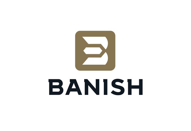 Banish VRMT 223-V2 TI Suppressor, FDE