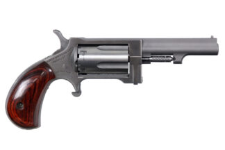 NAM SIDEWINDR REV 22LR/22M 2.5