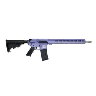 10 Ring Marketing WRJ GL15223SS ORC Semi-Auto .223 Wylde 16 in Barrel 30 Rounds Cerakote