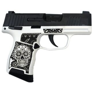 Sig Sauer P365 Optic Ready Micro-Compact 9mm, 3.1 in Barrel, 10rd Magazines (2), Black