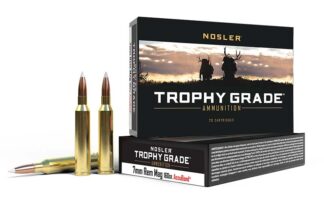 Nosler Trophy Grade 7mm Remington Magnum 160 gr AccuBond SP Ammo, 20 Rounds
