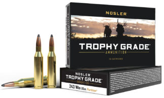 Nosler Trophy Grade .243 Winchester 85 Gr Partition Spitzer (20 Rounds)