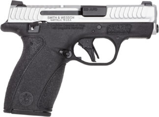 S&W BG2.0 380 12R 2TN TS NS DE