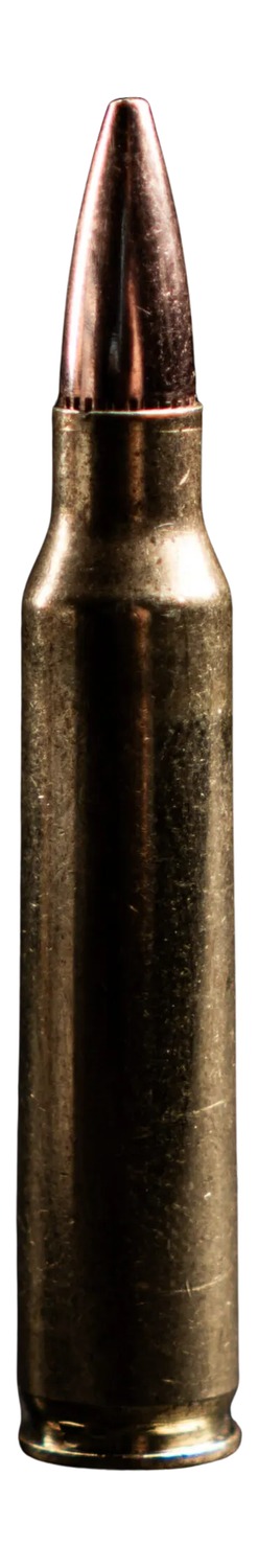 Atomic 5.56 NATO 77 Grain CYSUB JHPBT 20 Rounds
