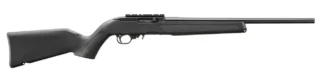 Ruger 10/22 .22 LR Semi-Auto Rifle 18.5 in Barrel